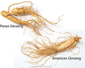 Panax Quinquefolius Sabor <span class=keywords><strong>American</strong></span> <span class=keywords><strong>Ginseng</strong></span> Sabor líquido para suplemento herbal