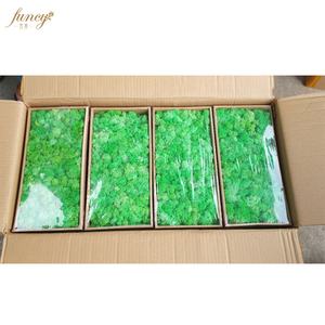 Reale Foresta Stabilizzato <span class=keywords><strong>Artificiale</strong></span> Irlandese Renna Conserve di <span class=keywords><strong>Muschio</strong></span> - Product Image 3