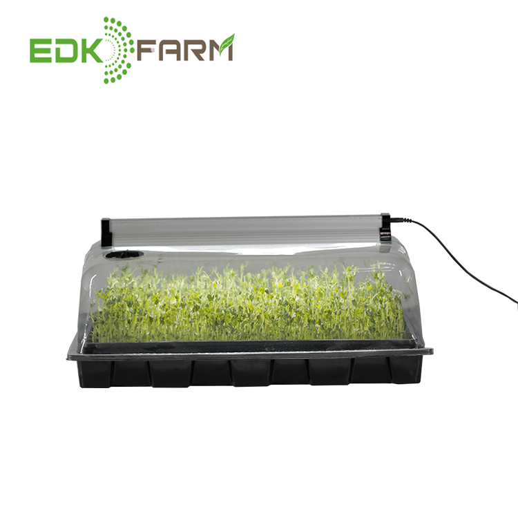 MINI kit di crescita con EDK