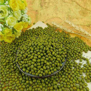 Tamaño 3.0-4.0mm verde Frijol <span class=keywords><strong>mungo</strong></span> 2017 agricultura Corp - Product Image 1