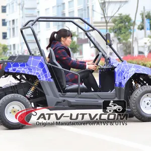 2016 Yeni Yol Yasal Buggy Elektrikli UTV 4X4 1000 w Ile 150cc 200cc motor