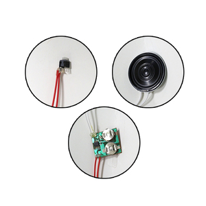Kích Thước Tùy Chỉnh Pre Ghi Âm Nhạc Ghi Âm Giọng Nói Ic Chip Mô-đun Âm Thanh - Product Image 2