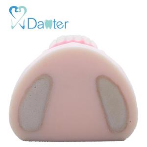 La maggior parte dei Popolari Pratica Pratica di Impianto Mandibolare Mascella Modello per il Dentista - Product Image 4