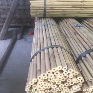 Bamboo Bamboo Bamboo Bamboo Stake Dia.18-20mm L180cm