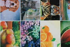 2 Màu Gốm Anilox Xi Lanh Mini Flexo Máy In Giá - Product Image 4