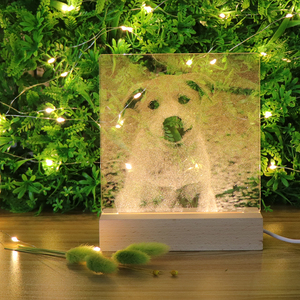 Personalizzazione di Base In Legno Per Acrilico 3D HA CONDOTTO LA Luce di Notte Animale - Product Image 4