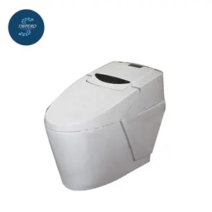 High End Auto Washing Automatic Water Spray Smart Toilet