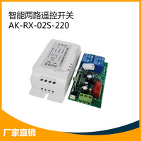 Commutateur de télécommande universel AC 220V /110V 2 canaux 433MHz Mini module récepteur de relais sans fil