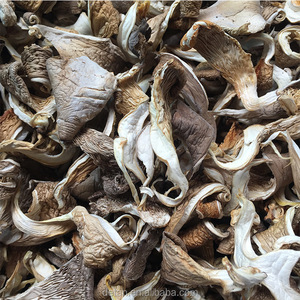 Detan Séché <span class=keywords><strong>Pleurotus</strong></span> <span class=keywords><strong>Ostreatus</strong></span> Prix - Product Image 2