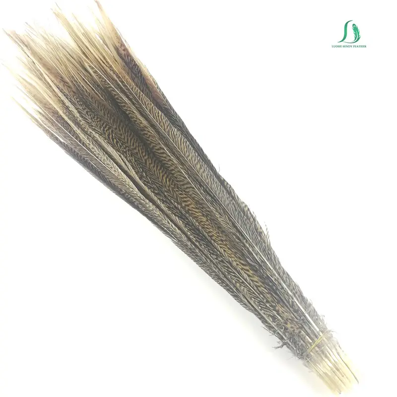 Sendy feather Golden pheasant tail feather