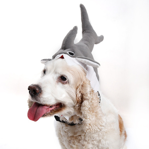 Tubarão Design Poliéster Pet Hat para Cães Gatos Novidade <span class=keywords><strong>Animal</strong></span> Print Halloween Cosplay Juba Acessório para o Verão Inverno Primavera - Product Image 2