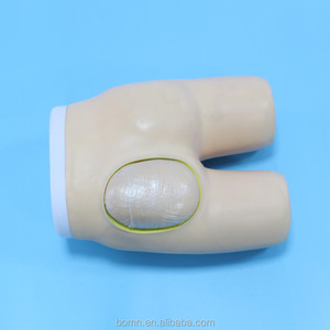 Modèle avancé d'<span class=keywords><strong>injection</strong></span> <span class=keywords><strong>intramusculaire</strong></span> de la hanche et de la structure anatomique, simulateur de formation - Product Image 3