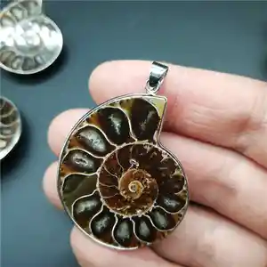 Natural Stone Ammonite Fossils Seashell Snail Pendants Ocean Reliquiae Conch Animal Necklaces Statement Men Jewellery