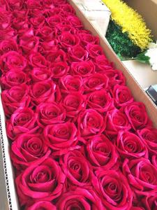 Çin toptan yapay gül İpek çiçek kafa düğün dekorasyon için - Product Image 3