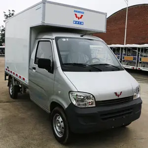 Mini camion de ramassage chinois robuste 4x2, petit camion de 1 tonnes