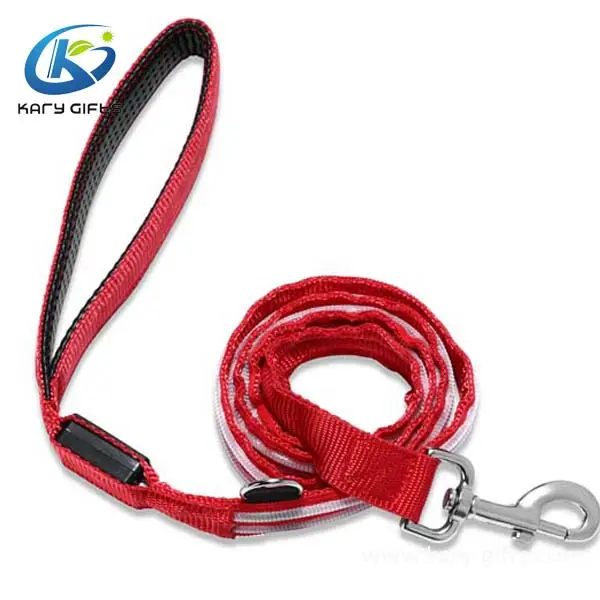 Cable de carga USB iluminado, Collar LED para perro