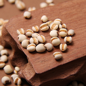 Graines de Larmes de Job en gros de Chine - Product Image 2