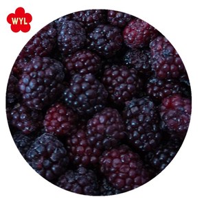 En vrac Fruits Biologiques mûres Congelées - Product Image 6