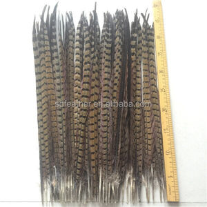 China proveedor barato plumas de <span class=keywords><strong>faisán</strong></span> del ringneck - Product Image 2