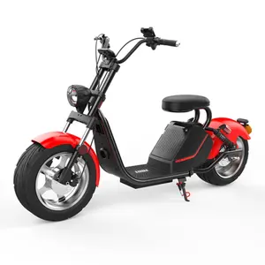 ヨーロッパ倉庫Citycoco Motos Electrica1000wats大人用電動バイク