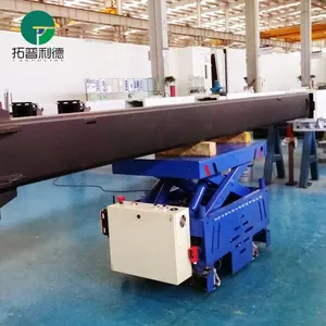 Multidirectional AGV Steel Industrial Coil Material Transport Motorized Slab Electric Mold Trackless Transfer Carts