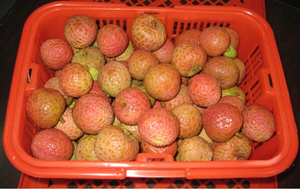 Litchi — fruits frais et merveilleux, fruits anciens, Litchi - Product Image 3