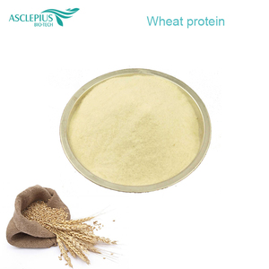 תמצית צמח חלבון חיטה הידרוליזה - Product Image 1