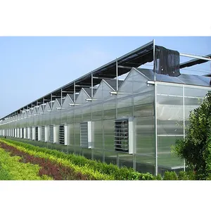 One one Multi-Span board PC greenhouse with equipment for agriculture/plant vegetables fruits flowers