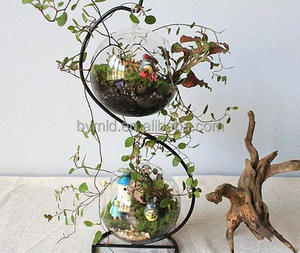 איכות גבוהה מודרני ברור כדור תלוי זכוכית vase <span class=keywords><strong>terrarium</strong></span> בתפזורת אוויר בתוך צמח פרח טרריום עבור עיצוב הבית ידידותי לסביבה - Product Image 4