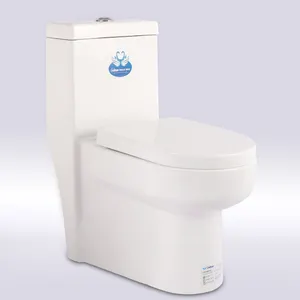 Fast delivery good quality white toilet