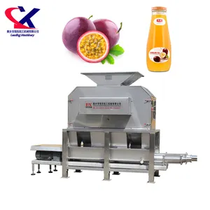 Stainless Steel Automatic Passion Fruit Processing Machine Passion Fruit Concentrate Machine