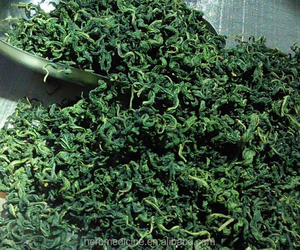 Thé aux feuilles d'<span class=keywords><strong>Ashitaba</strong></span> Angelica Keiskei pur et naturel - Product Image 3