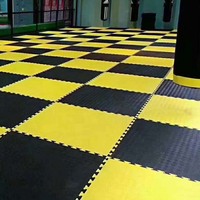 Tapis de sport unisexe en mousse EVA, tatami judo, tapis utilisé taekwondo, tatami