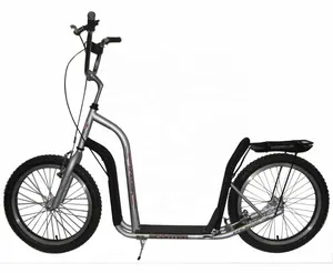 20 "Goedkope Kick Scooter/Kids Scooter Scooter/Hond Scooter(SY-SC2001)