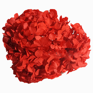 HFlora-Hortensia Multicolor natural a granel para el hogar, boda, tienda en línea, decoración, venta al por mayor - Product Image 2