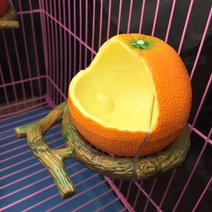 Heyri-cuenco alimentador de comida para mascotas, tazón de agua de alta calidad, naranja, Granada, fruta, pájaro, <span class=keywords><strong>Hamster</strong></span>, taza de jardín, cuencos alimentadores de aves y frutas - Product Image 4