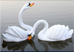 Продажа с завода, искусственные Стекловолоконные садовые статуи Лебедя в натуральную величину, плавающие украшения для пруда - Product Image 2