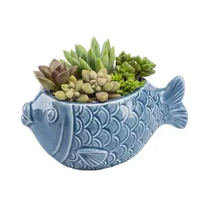 有趣的陶瓷花盆肉质海洋动物鱼类播种机
