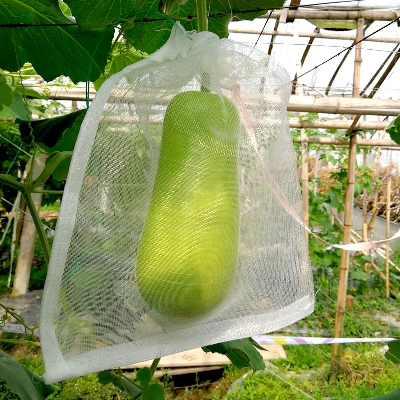 Agricultura batata cordão de nylon de malha saco de rede para frutas e legumes