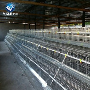 Offre Spéciale <span class=keywords><strong>Cages</strong></span> À Oeufs de Poulet En Afrique du sud, le Nigeria, le Kenya, l'ouganda - Product Image 4