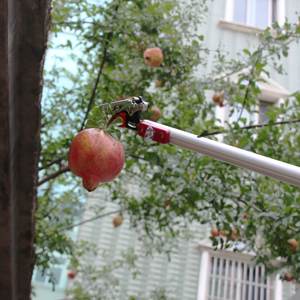 Extentool 텔레스코픽 수동 과일 피커 다기능 가지 치기 가위 정원 도구 확장 극 - Product Image 6