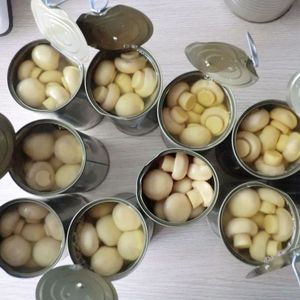 מיקאדו סיטונאי שימורים שמפיניון פטריות מחירים למכירה - Product Image 2