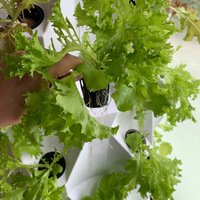 Système de culture hydroponique vertical multicouche pour jardin, design moderne pour jardin intérieur, balcon et petite ferme