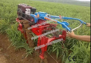 Mejor servicio motocultor cosechadora ajo con motor <span class=keywords><strong>diesel</strong></span> - Product Image 5