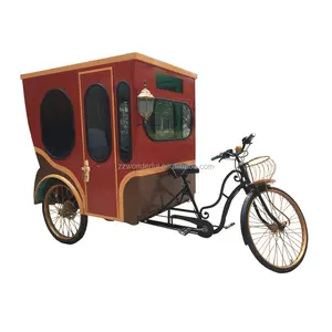 Fashional Back Riding Electric Rickshaw 300w Solar Panel Loaded