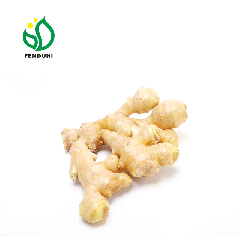 Buy Fresh Young Ginger 200グラムアップ、10KG Plastic Carton