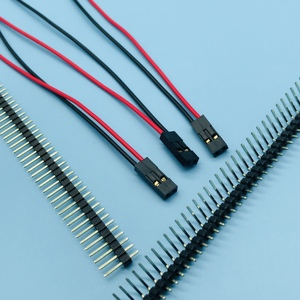 Altın kaplama 2 pin 2.54mm tek kafa kadın dupont kablosu pimleri ile - Product Image 1