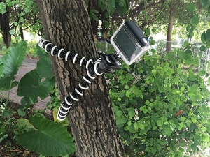 Trípode Flexible para teléfono móvil, compacto, portátil, de viaje, de pulpo, <span class=keywords><strong>GorillaPod</strong></span> para cámaras digitales - Product Image 5