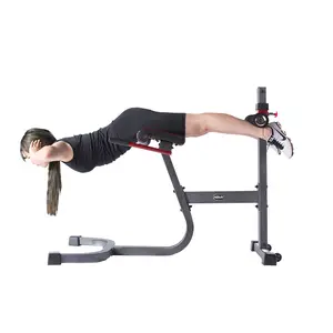 商用健身房健身器材靠背长凳罗马椅