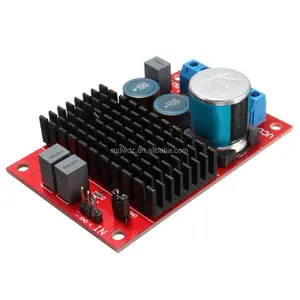 BTL Output Amplifier Board、TPA3116 DC 12V-24V Mono 100W Channel Digital Power Audio Amplifier Board